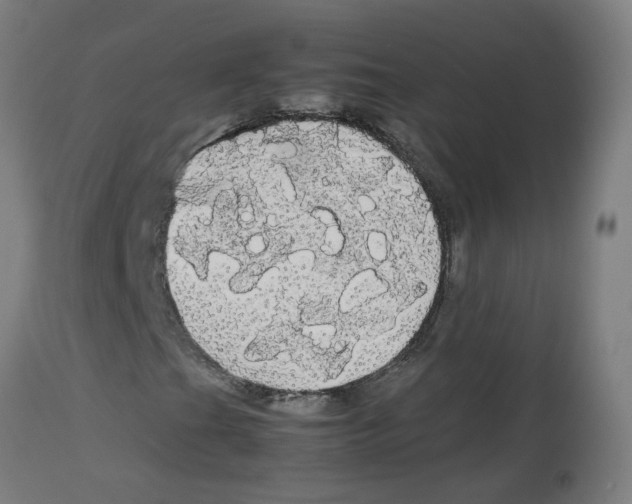 X0000113851201200910221411