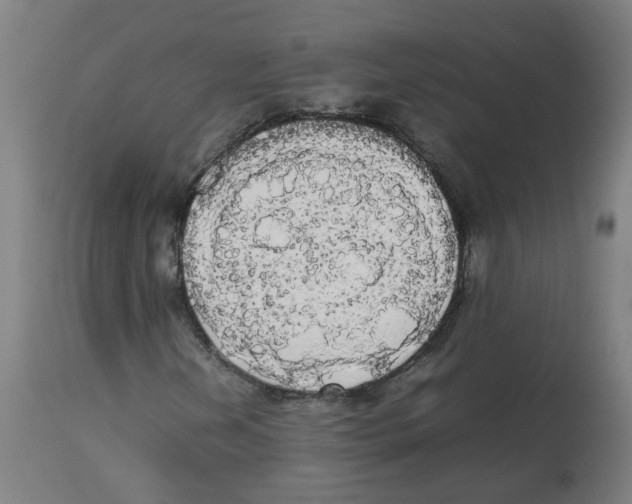 X0000113851202200910221411