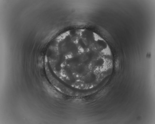 X0000113851204200910221411