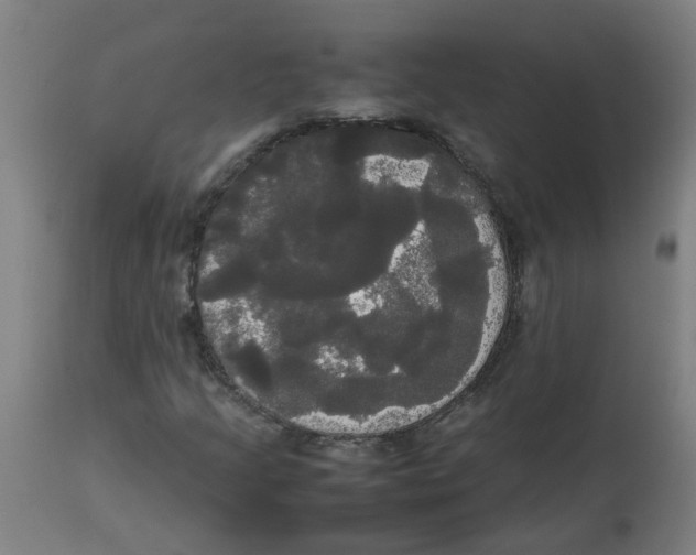 X0000113851205200910221411