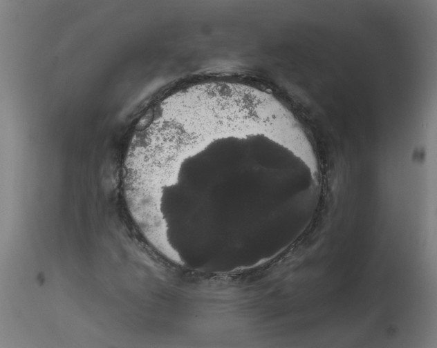 X0000113851206200910221411