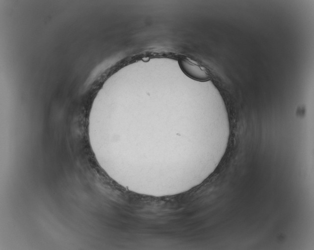 X0000113851207200910221411