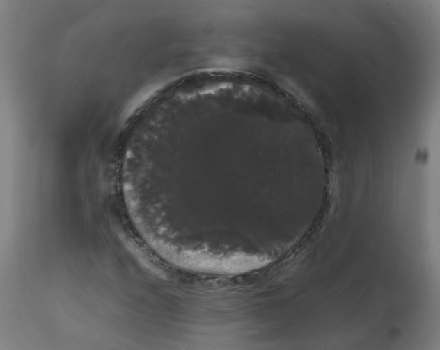 X0000113851208200910221411