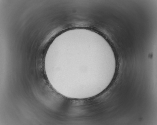 X0000113851211200910221411