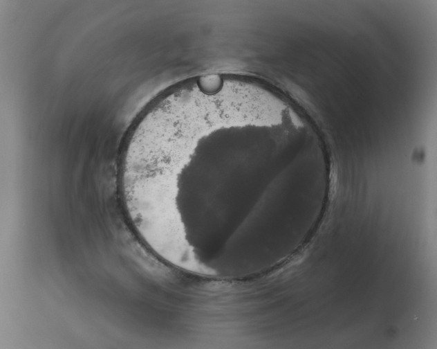 X0000113851212200910221411