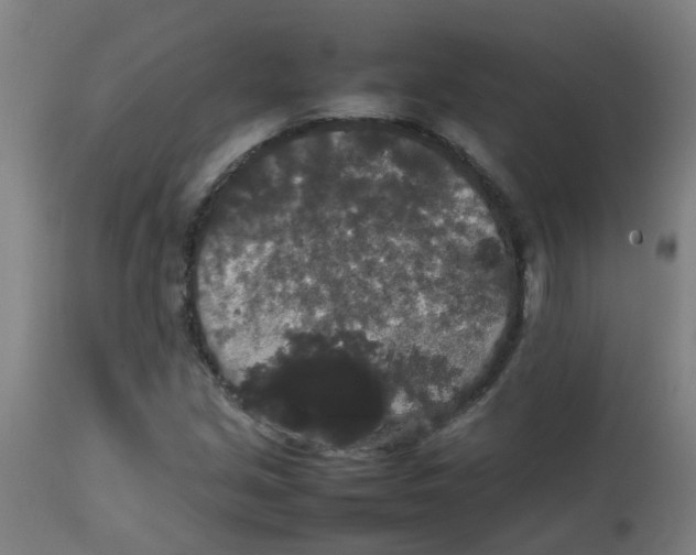 X0000113851213200910221411