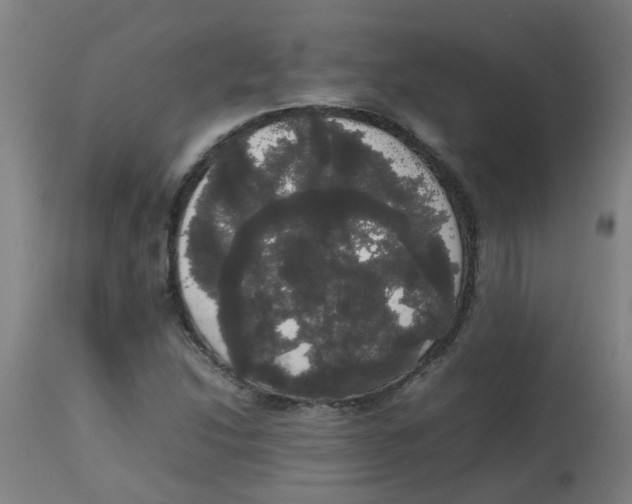 X0000113851214200910221411