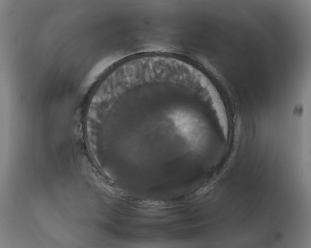 X0000113851215200910221411