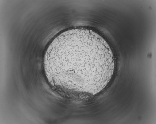 X0000113851217200910221411