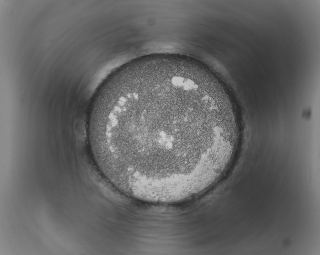 X0000113851218200910221411