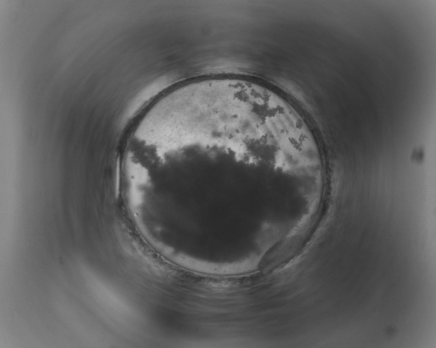 X0000113851219200910221411