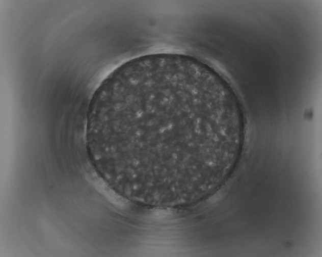 X0000113851220200910221411