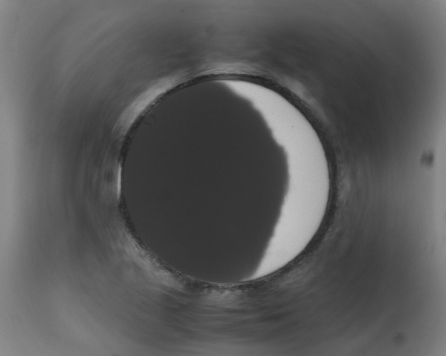 X0000113851221200910221411