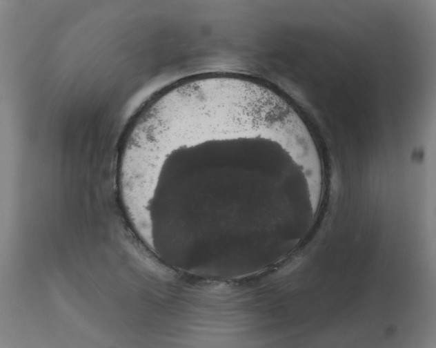 X0000113851222200910221411