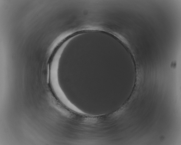 X0000113851223200910221411