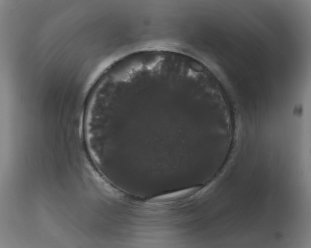 X0000113851224200910221411