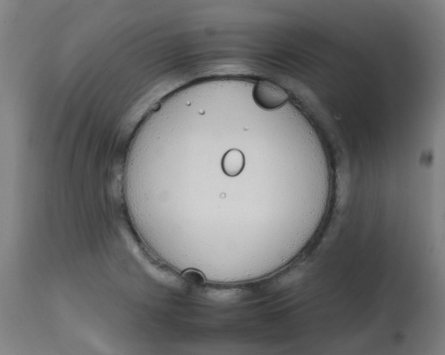 X0000113851225200910221411