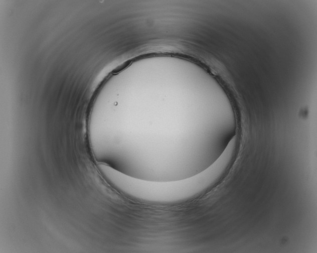 X0000113851226200910221411