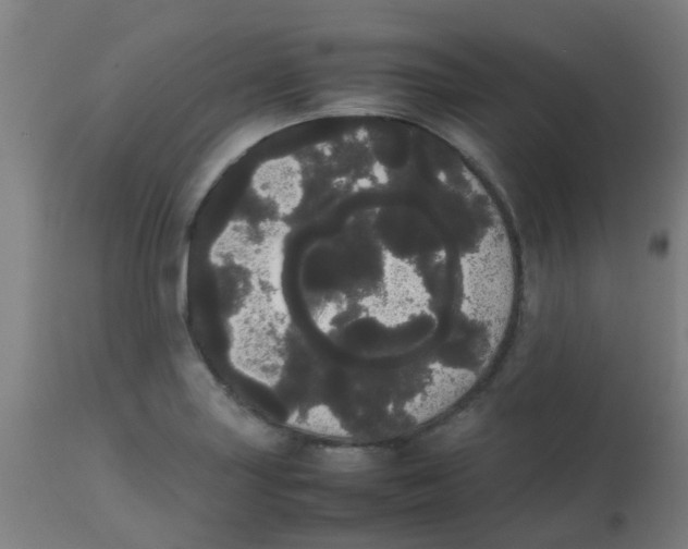 X0000113851227200910221411