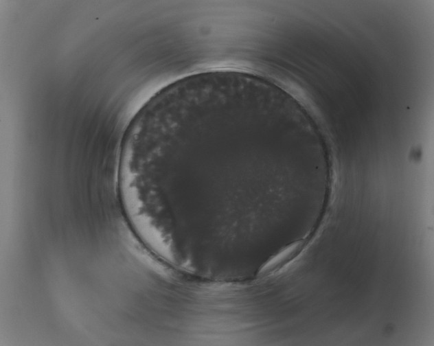 X0000113851228200910221411