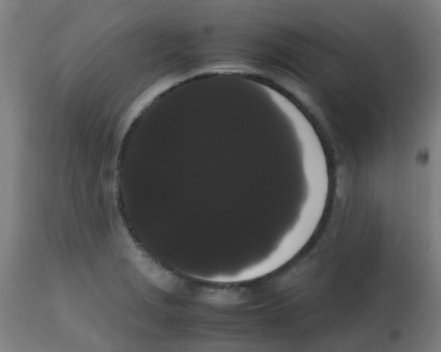 X0000113851229200910221411