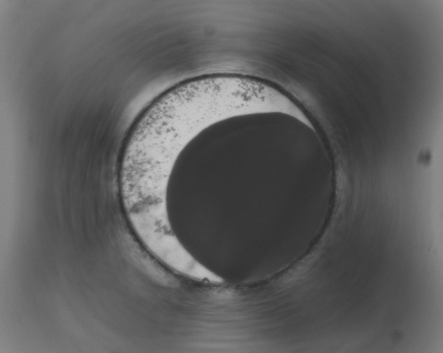 X0000113851230200910221411