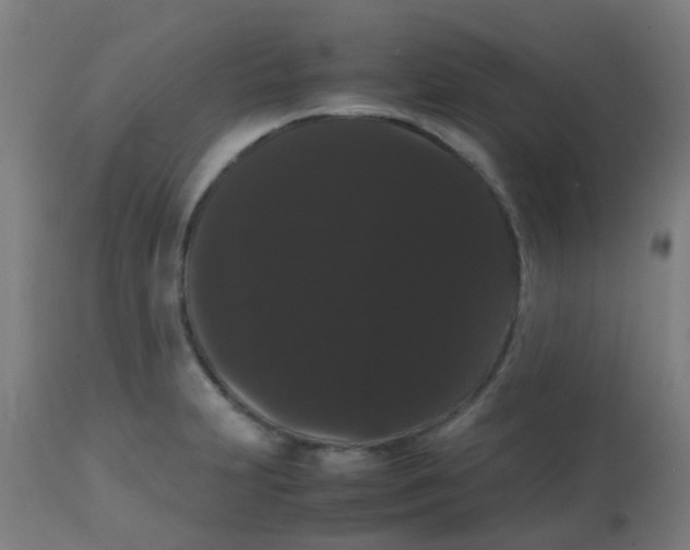 X0000113851231200910221412