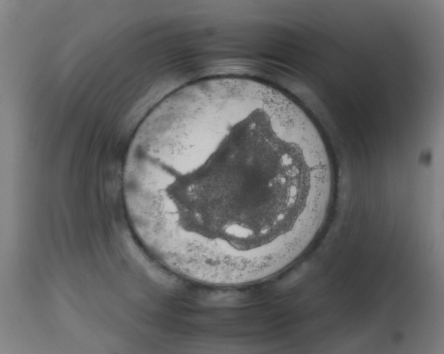 X0000113851233200910221412