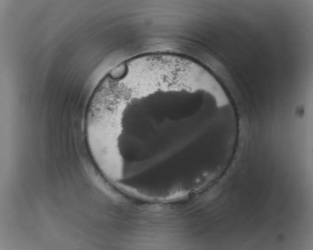 X0000113851234200910221412