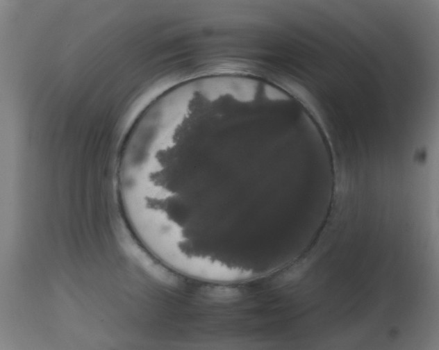 X0000113851235200910221412