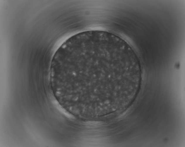 X0000113851236200910221412