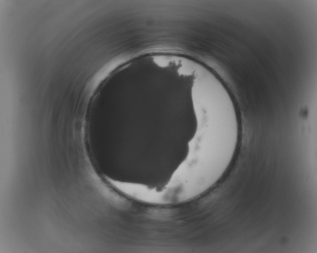 X0000113851237200910221412