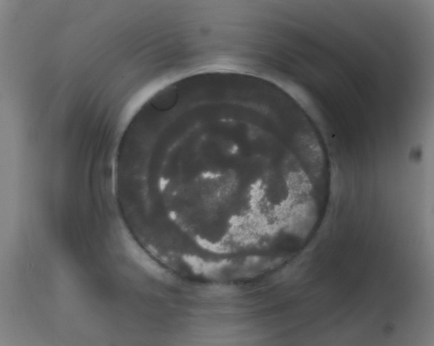 X0000113851238200910221412