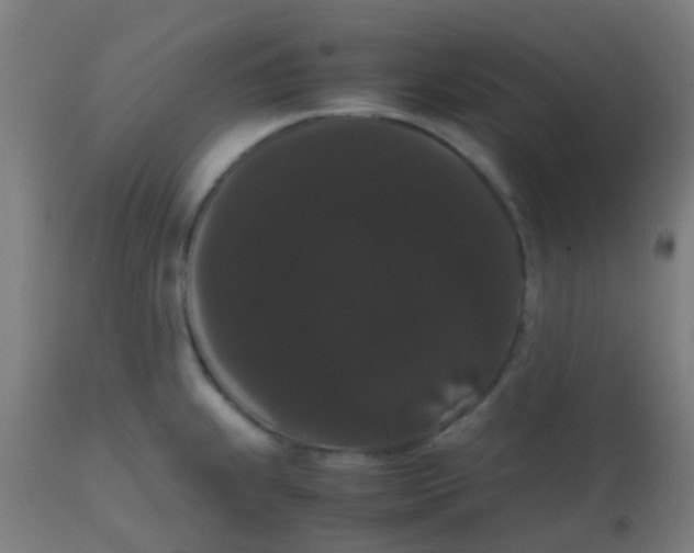 X0000113851239200910221412