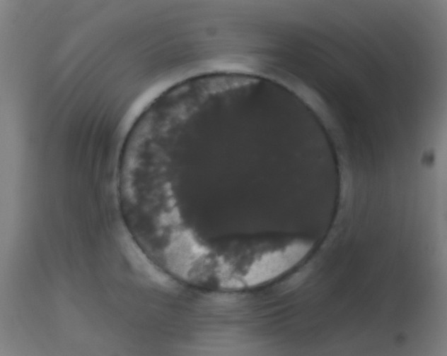 X0000113851240200910221412