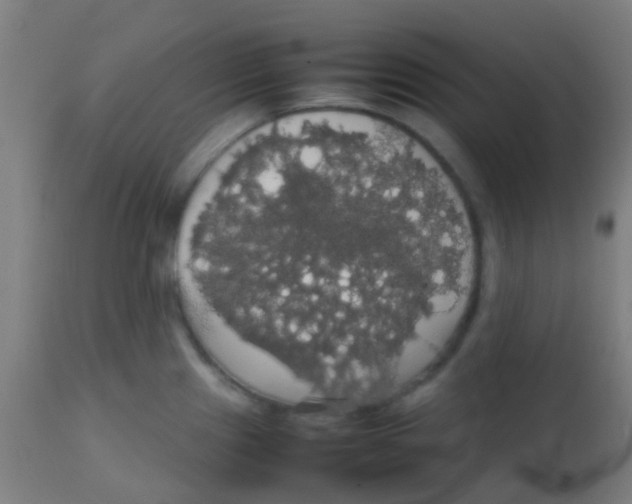 X0000113851241200910221412