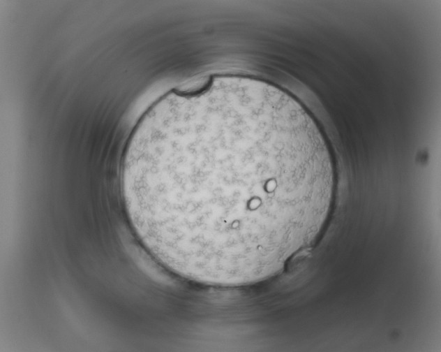 X0000113851242200910221412