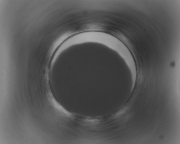 X0000113851243200910221412