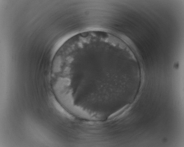 X0000113851244200910221412