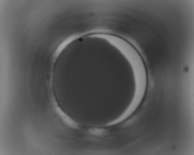 X0000113851245200910221412