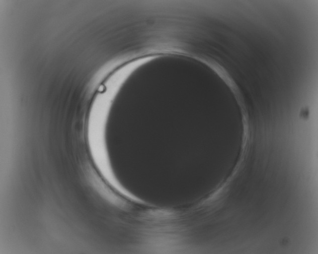 X0000113851246200910221412