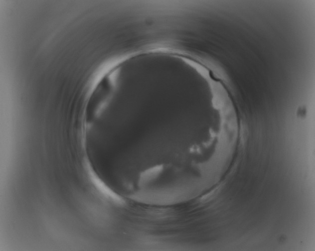 X0000113851247200910221412