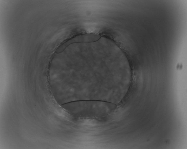 X0000113851249200910221411