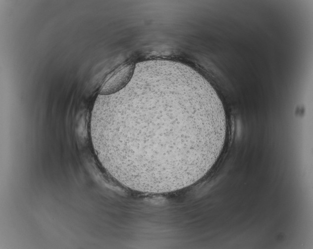 X0000113851250200910221411