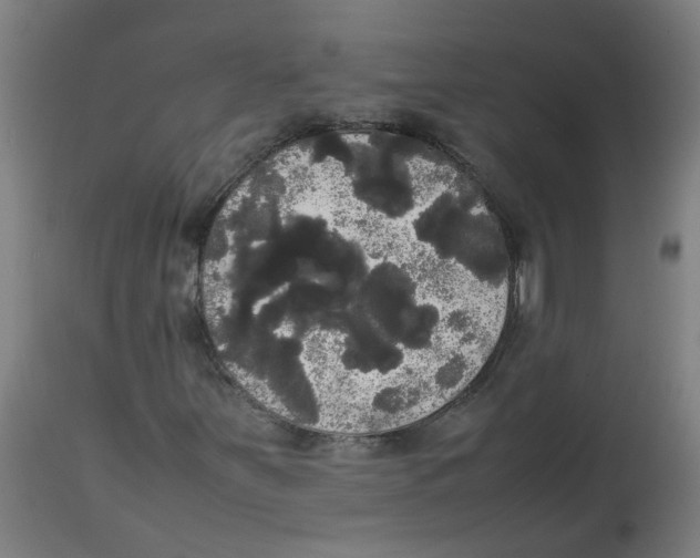 X0000113851251200910221411