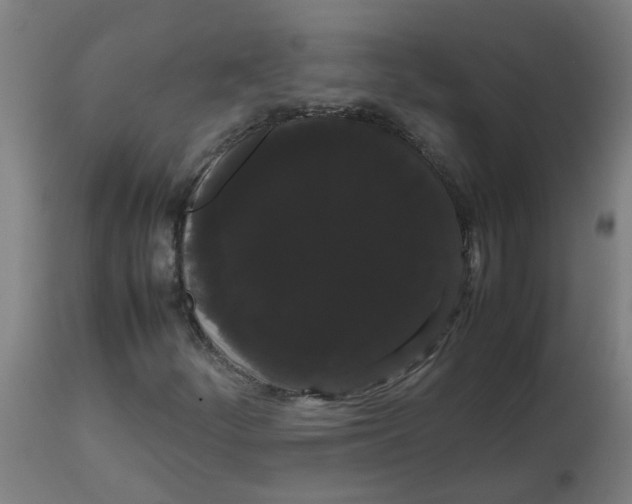 X0000113851252200910221411