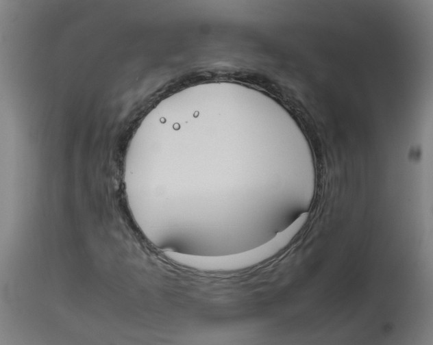 X0000113851253200910221411