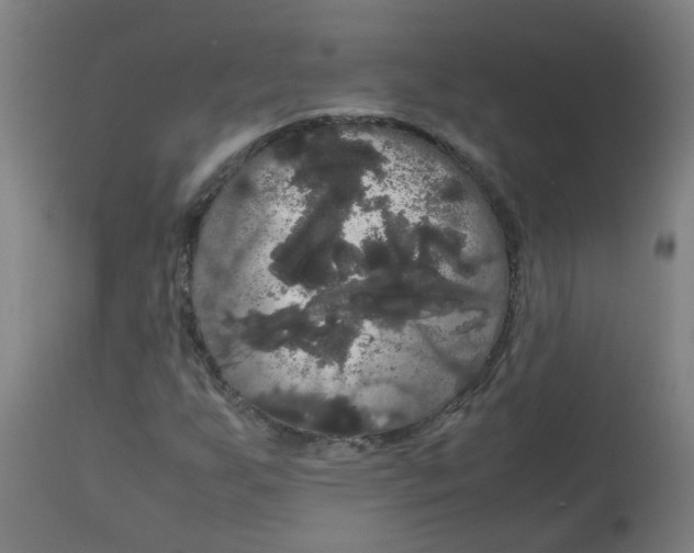 X0000113851255200910221411