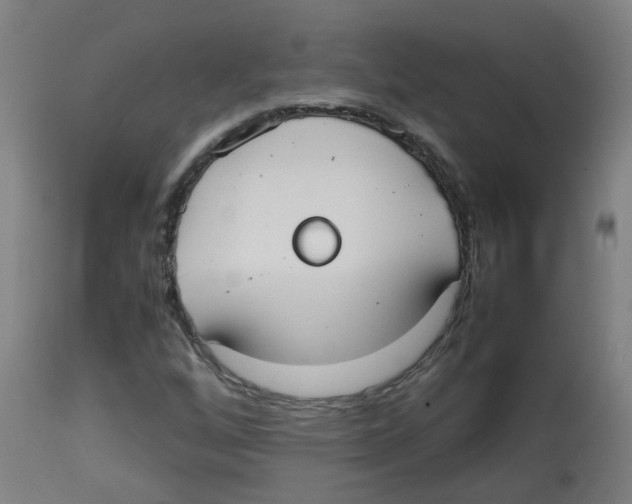 X0000113851256200910221411