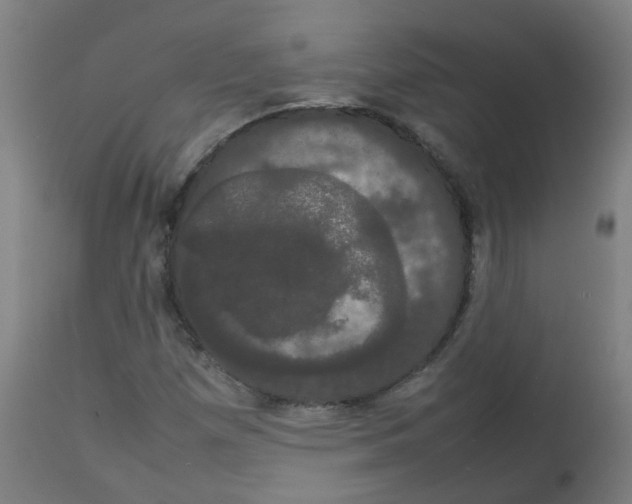 X0000113851257200910221411